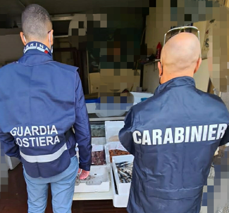 Sannio, sequestrato un quintale di pesce fresco e congelato: era di dubbia provenienza