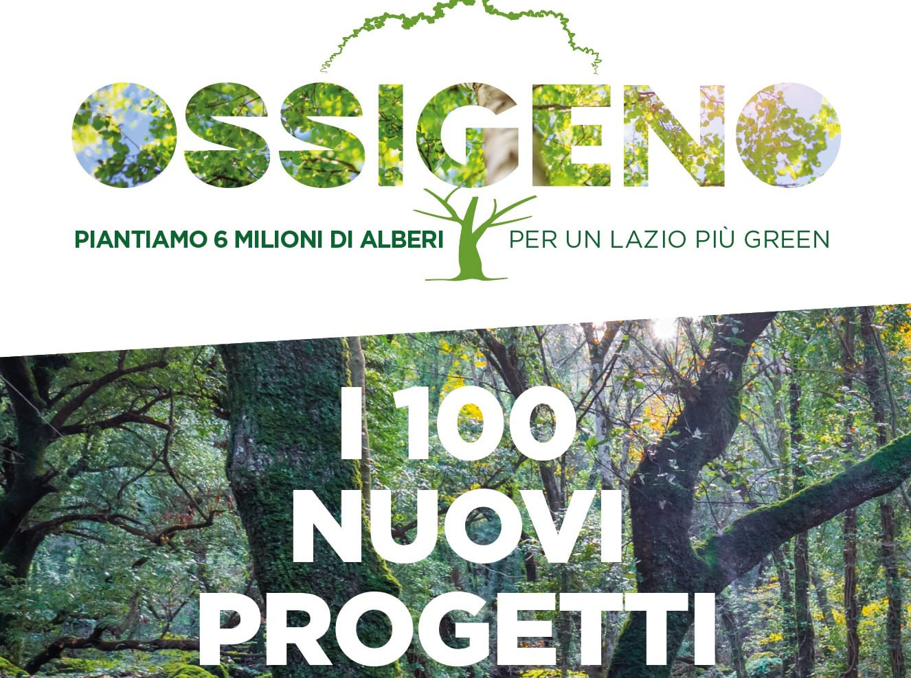 LAZIO, AMBIENTE, PROGETTO OSSIGENO: 6 MLN PER 100 NUOVI PROGETTI