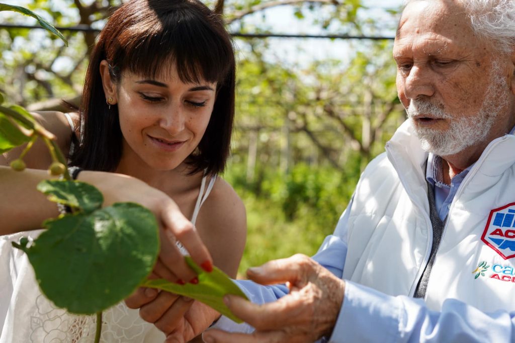 DIMINUITO L’USO DEI PESTICIDI, ACLI TERRA: “MANTENERE ALTA ATTENZIONE SUL TEMA”