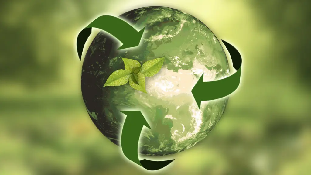 THE CIRCULAR ECONOMY