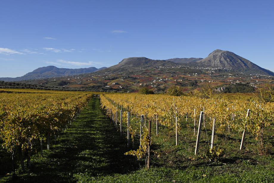 “L’IMPORTANZA DI ESSERE INNOVATIVI: SANNIO E VALPOLICELLA, DUE MODELLI A CONFRONTO”, È IL TEMA DI UN CONVEGNO PROMOSSO DAL SANNIO CONSORZIO TUTELA VINI DEL SANNIO.