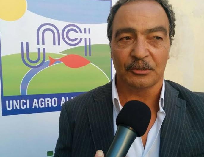 UNCI AGROALIMENTARE, SCOGNAMIGLIO: IMPIANTI EOLICI MARINI SCELTA DANNOSA PER ECOSISTEMA E PESCA.